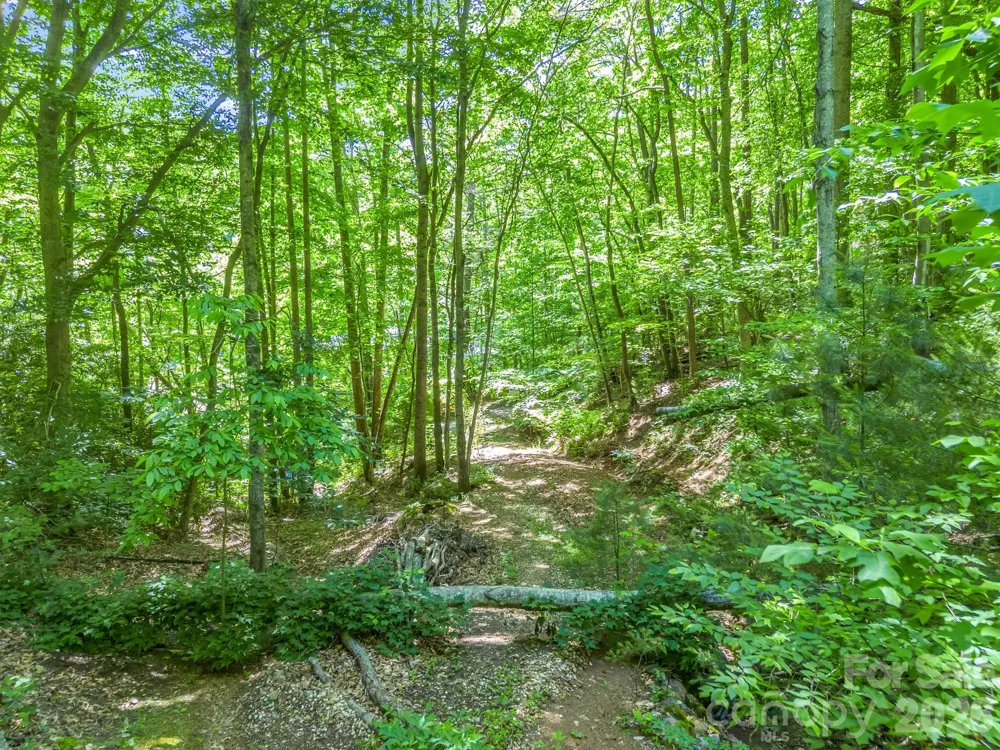 21 Wits End Trail Swannanoa, NC 28778