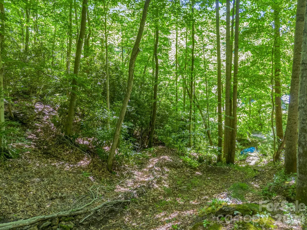 21 Wits End Trail Swannanoa, NC 28778