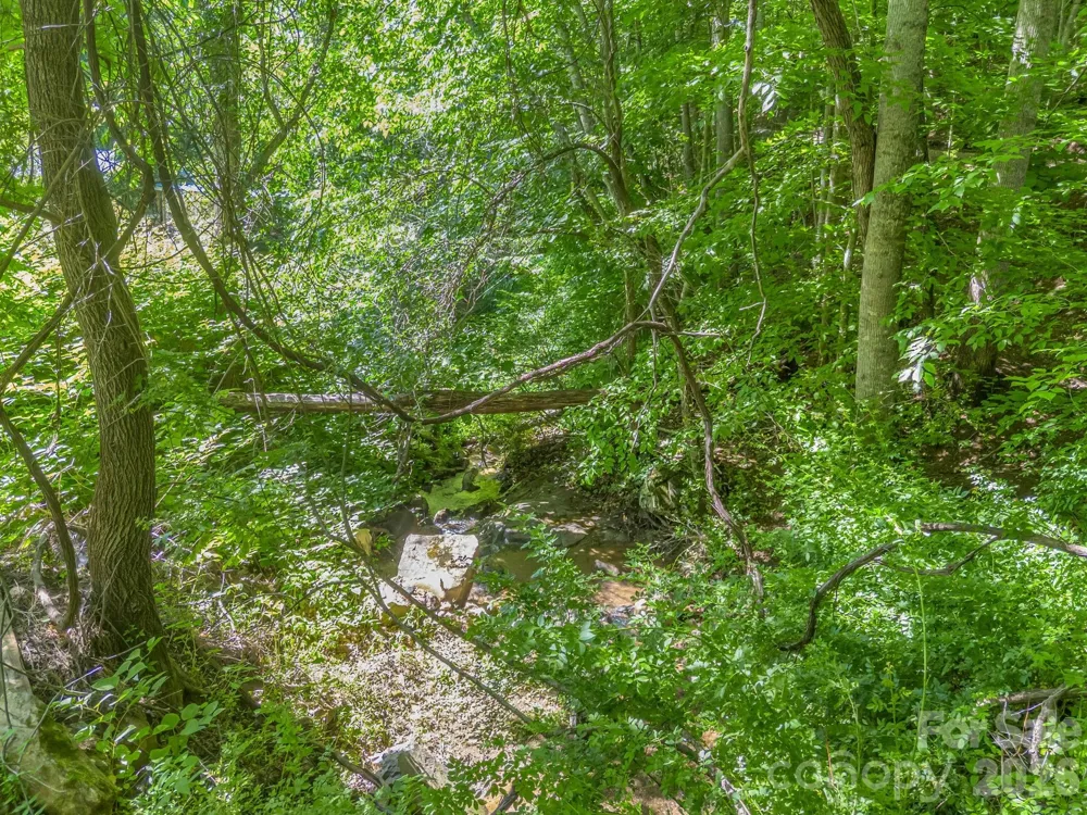 21 Wits End Trail Swannanoa, NC 28778