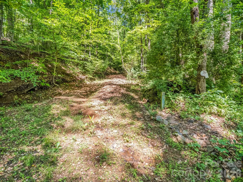 21 Wits End Trail Swannanoa, NC 28778