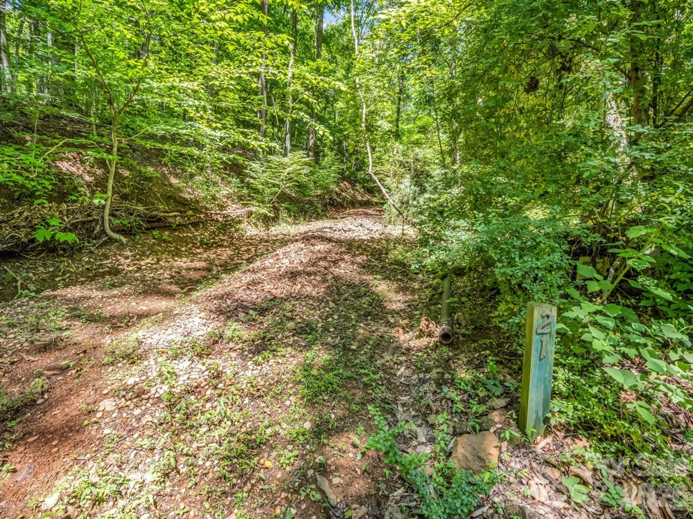 21 Wits End Trail Swannanoa, NC 28778