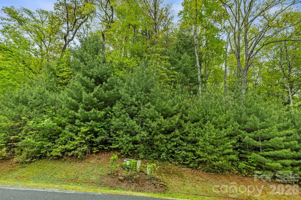 TBD Hickory Shaft Drive Sapphire, NC 28774