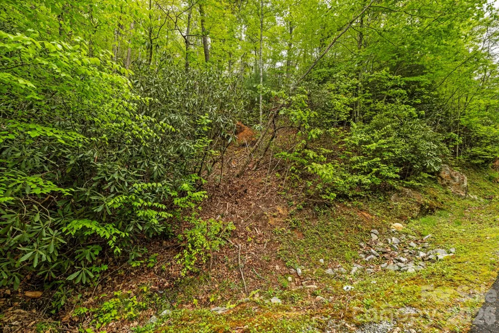 TBD Hickory Shaft Drive Sapphire, NC 28774