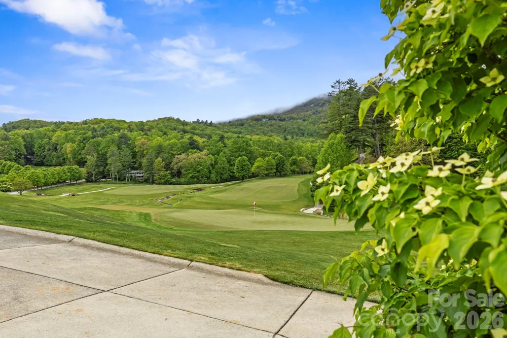 TBD Hickory Shaft Drive Sapphire, NC 28774