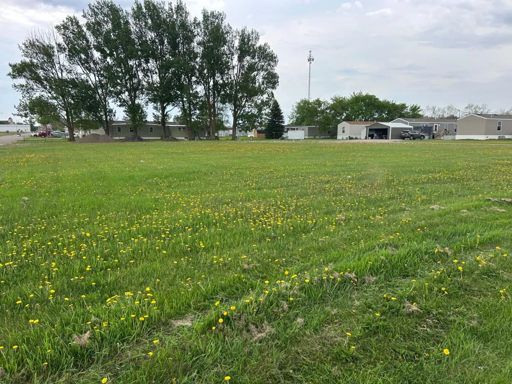 TBD 2nd Street W Thief River Falls, MN 56701