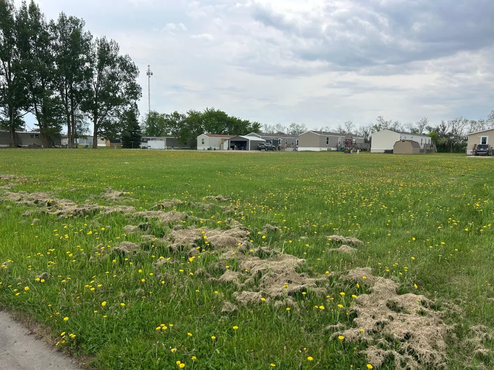 TBD 2nd Street W Thief River Falls, MN 56701