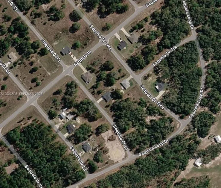 14 Sequoia Drive Court ocala, FL 32179