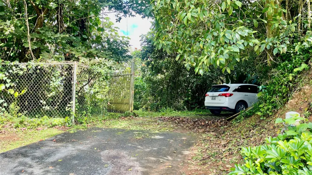 718 BO. PASTO ROAD Aibonito, PR 00705