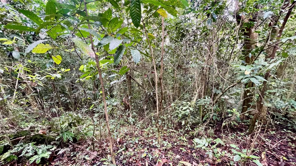 718 BO. PASTO ROAD Aibonito, PR 00705