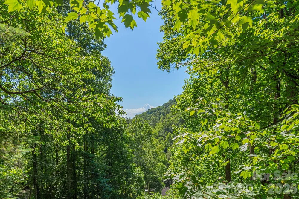 154 Timberside Drive Mars Hill, NC 28754