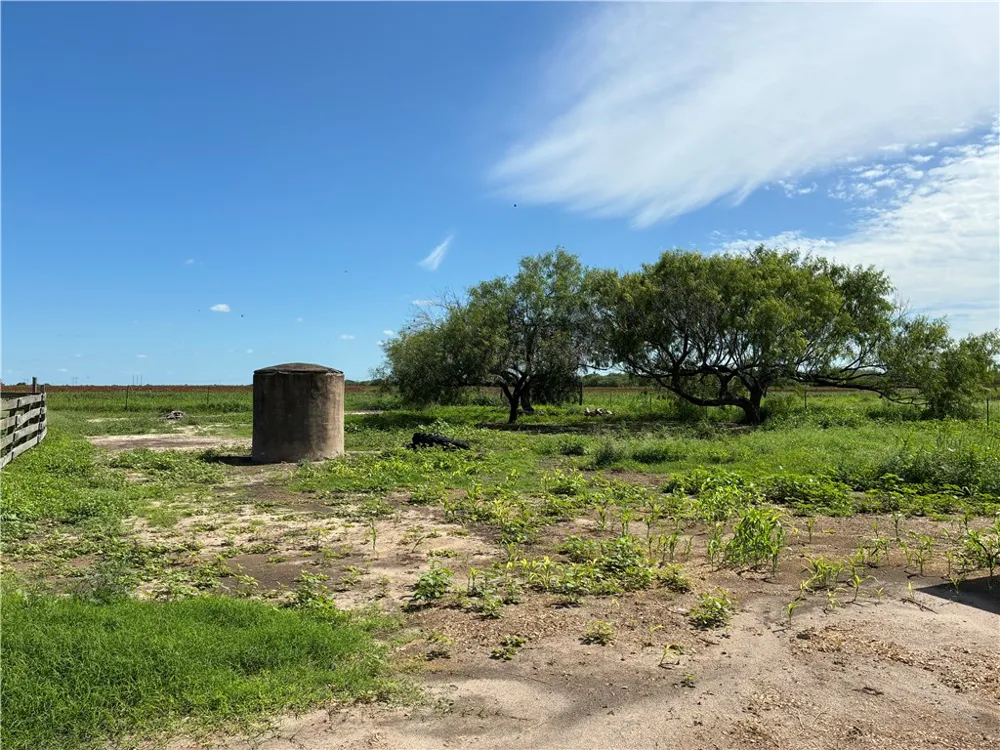 466 S County Road 307 Orange Grove, TX 78372