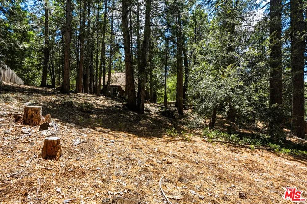 55000 Daryll Road Idyllwild, CA 92549