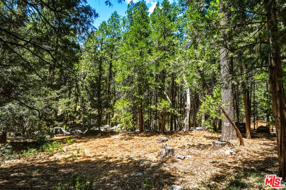 55000 Daryll Road Idyllwild, CA 92549
