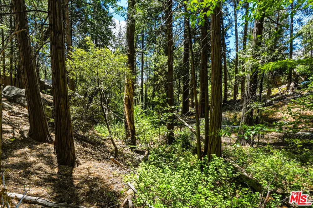 55000 Daryll Road Idyllwild, CA 92549