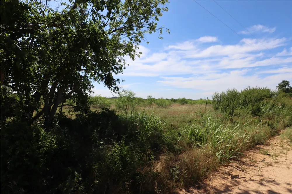 807 County Road 215 Rising Star, TX 76471