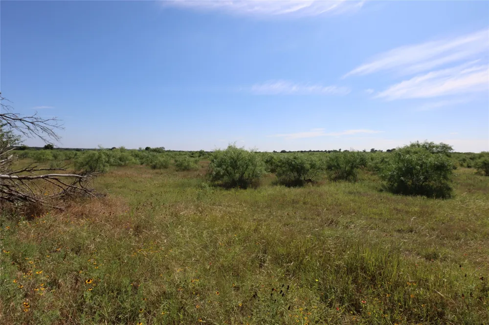 807 County Road 215 Rising Star, TX 76471
