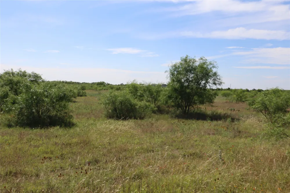 807 County Road 215 Rising Star, TX 76471