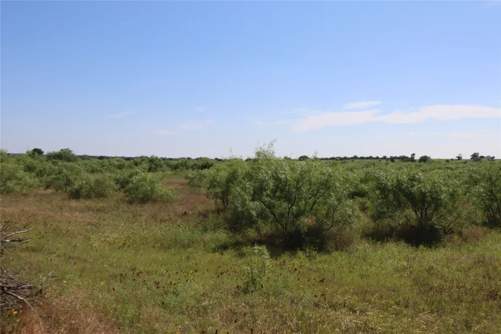 807 County Road 215 Rising Star, TX 76471