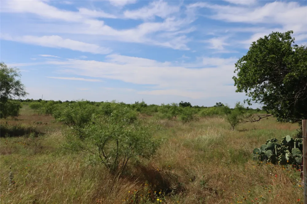 807 County Road 215 Rising Star, TX 76471