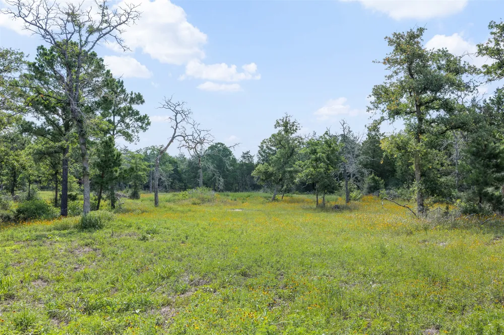 305 Cistern Road Rosanky, TX 78953