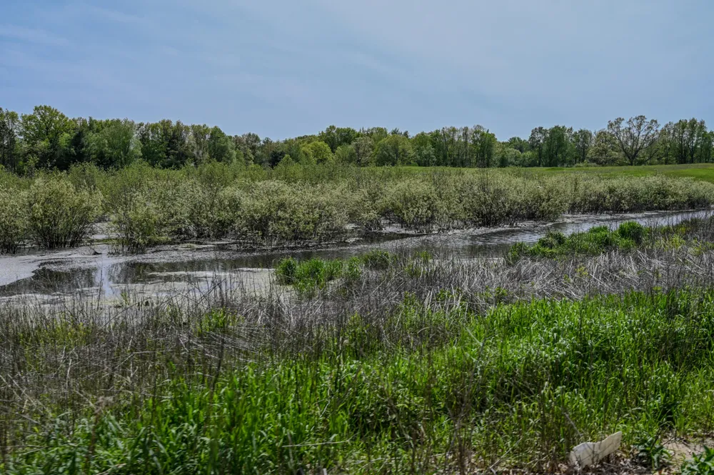 8492 Gibson Avenue Lake, MI 48632