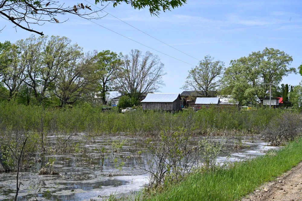 8492 Gibson Avenue Lake, MI 48632