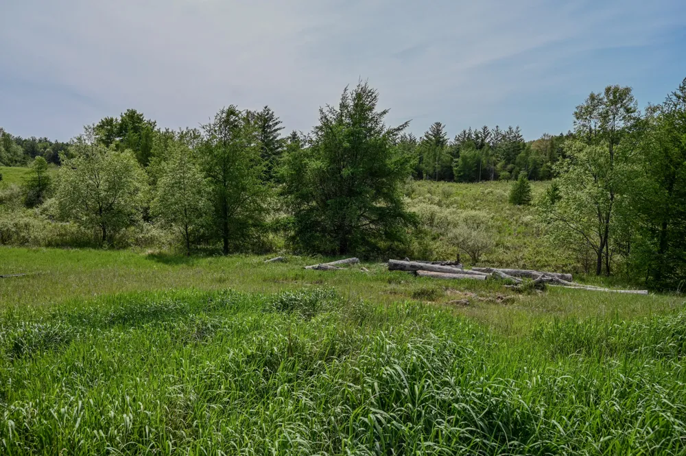 8492 Gibson Avenue Lake, MI 48632
