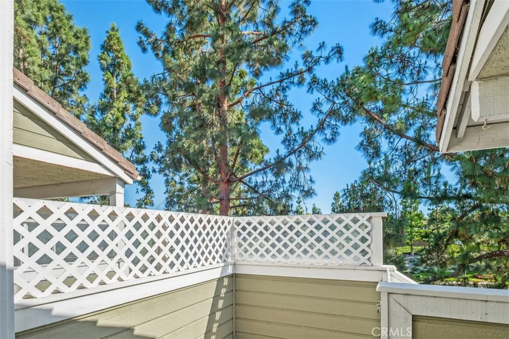 40 Hollyhock Aliso Viejo, CA 92656