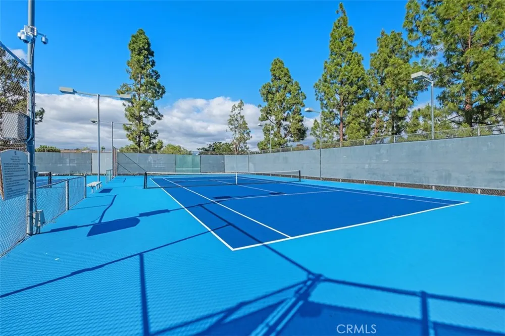 40 Hollyhock Aliso Viejo, CA 92656