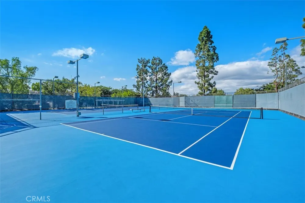 40 Hollyhock Aliso Viejo, CA 92656