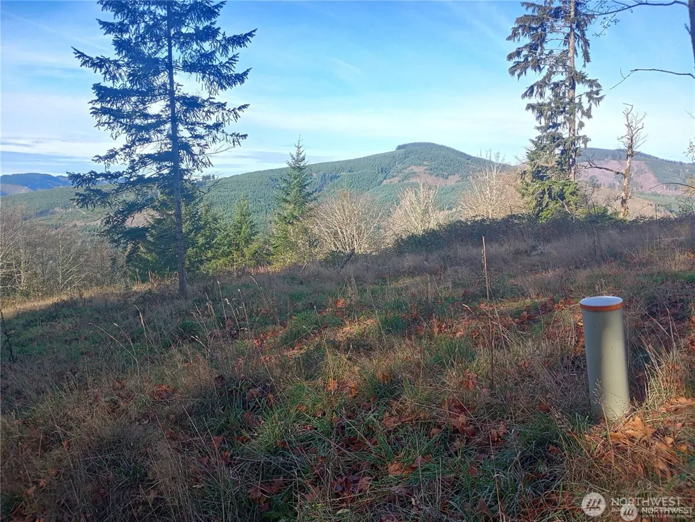 167 Wagner Road Kelso, WA 98626
