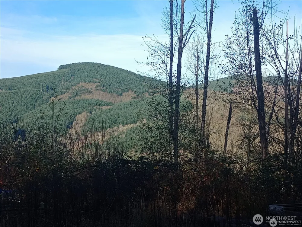 167 Wagner Road Kelso, WA 98626