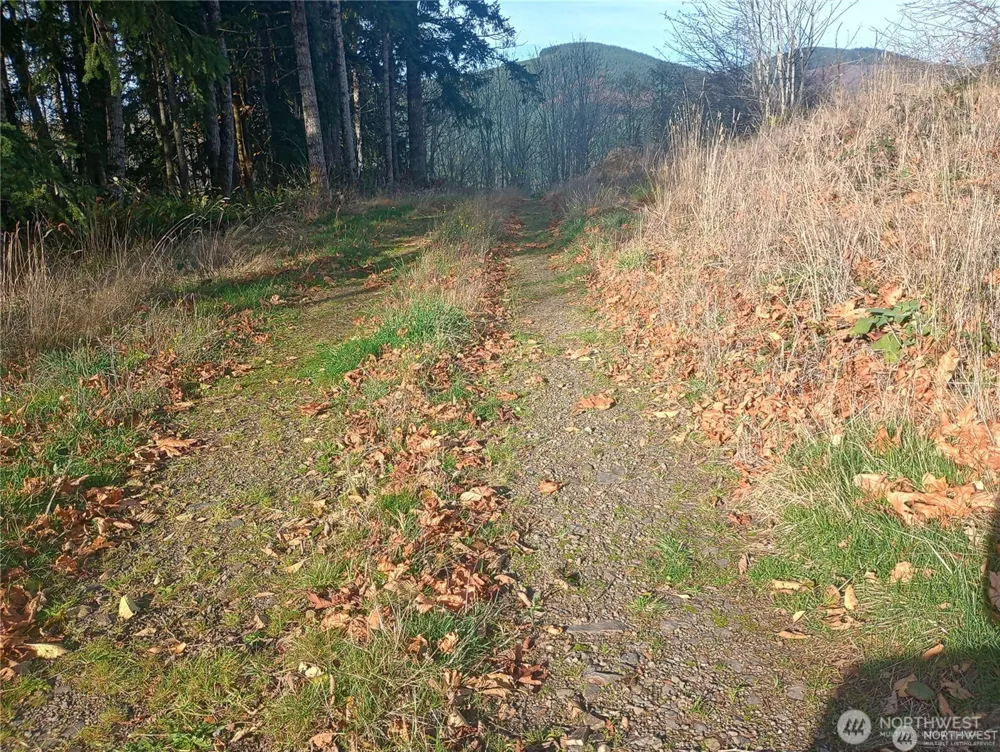 167 Wagner Road Kelso, WA 98626