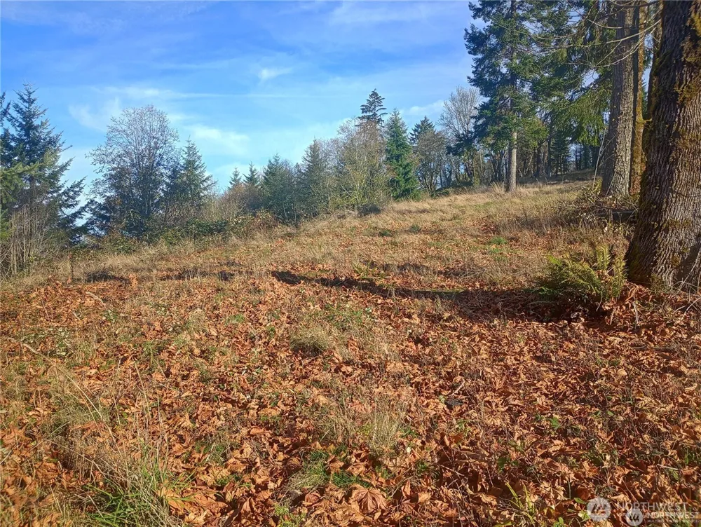 167 Wagner Road Kelso, WA 98626