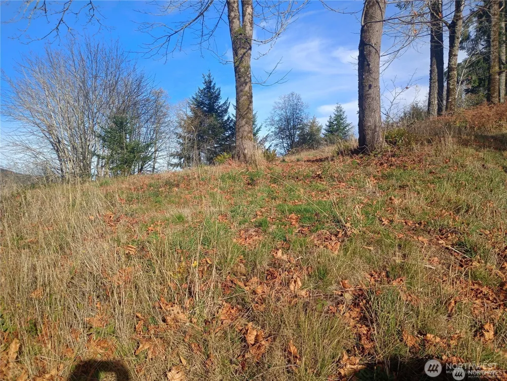 167 Wagner Road Kelso, WA 98626