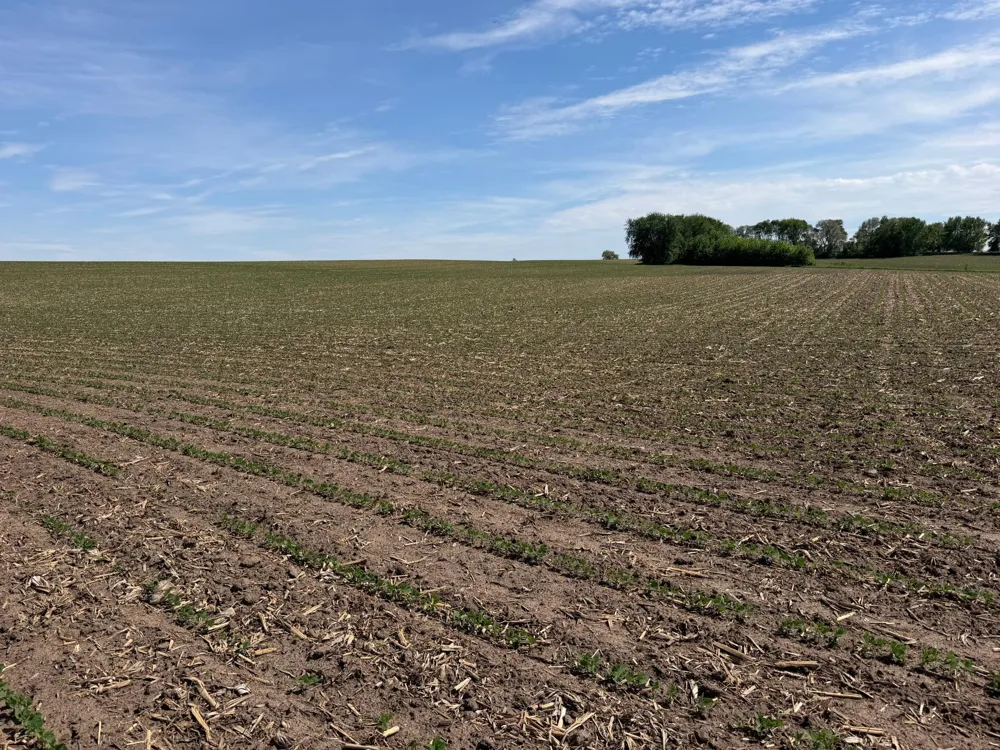 tbd 31st Avenue NW Oronoco, MN 55960