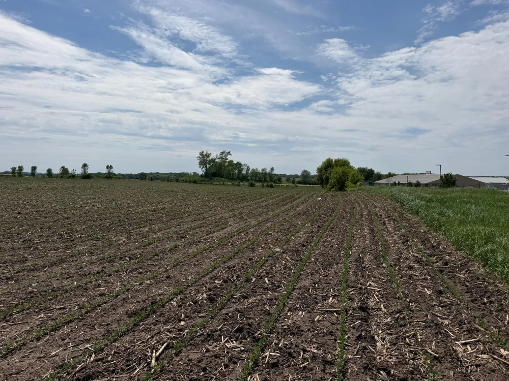 tbd 31st Avenue NW Oronoco, MN 55960