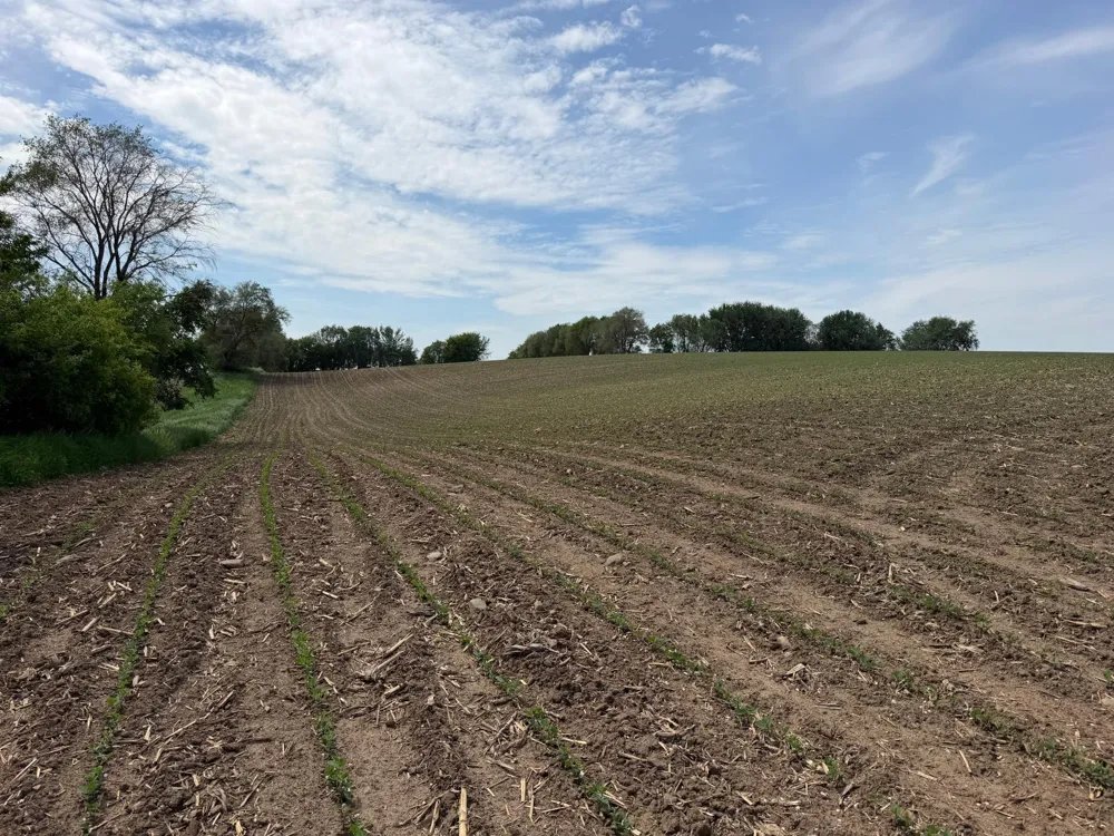tbd 31st Avenue NW Oronoco, MN 55960