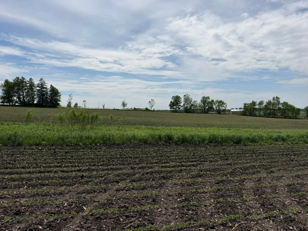 tbd 31st Avenue NW Oronoco, MN 55960