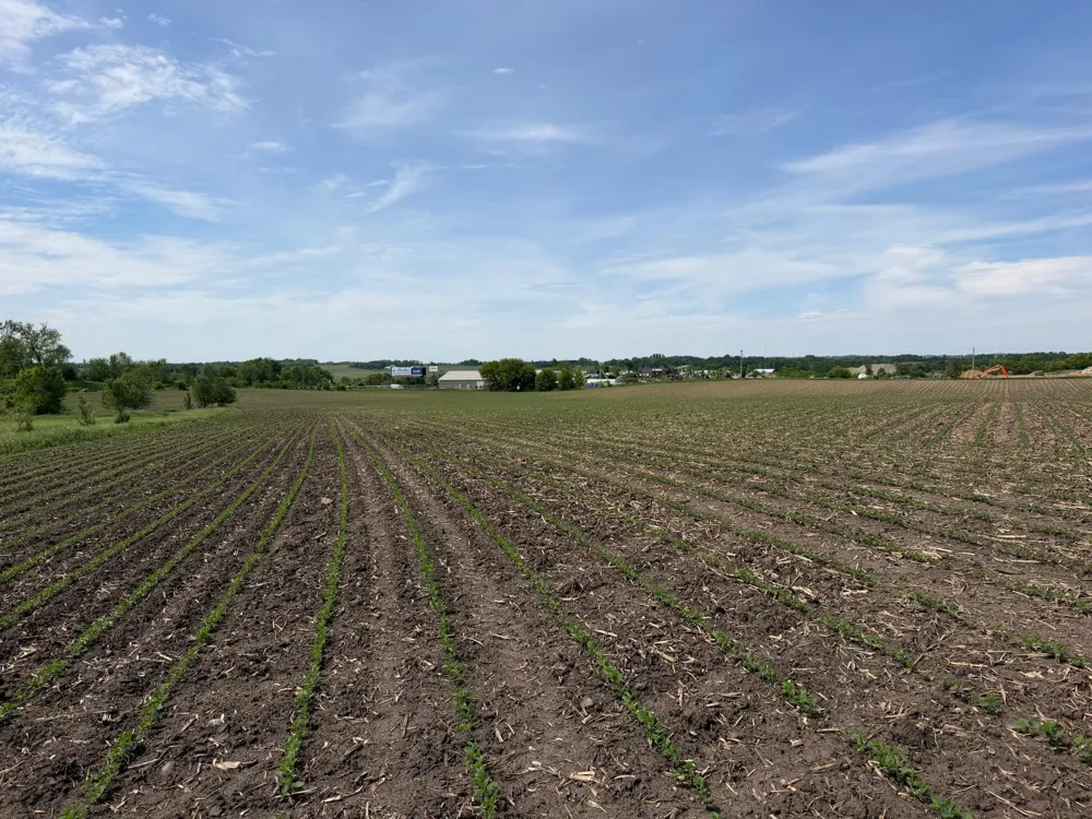 tbd 31st Avenue NW Oronoco, MN 55960