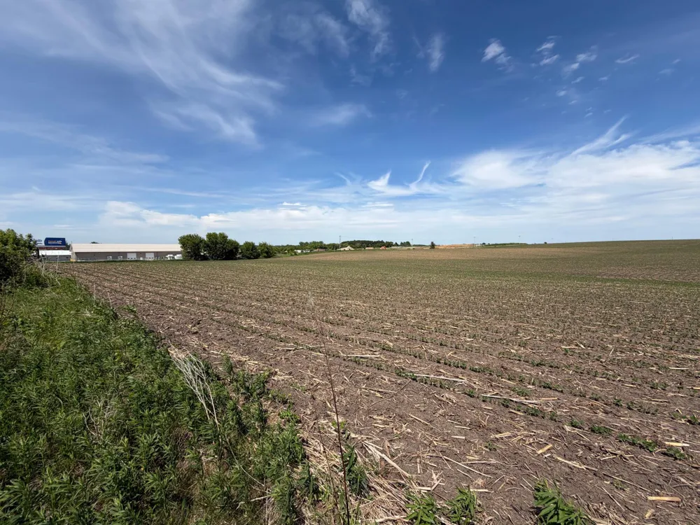 tbd 31st Avenue NW Oronoco, MN 55960