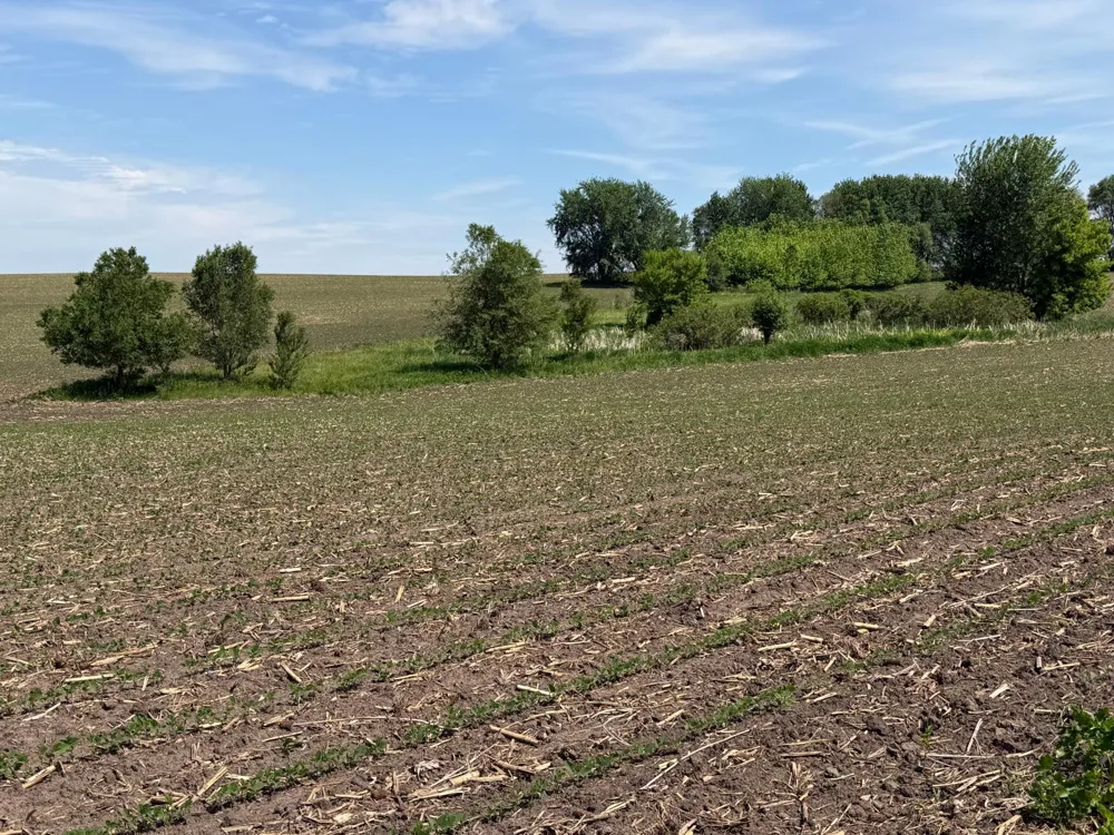 tbd 31st Avenue NW Oronoco, MN 55960