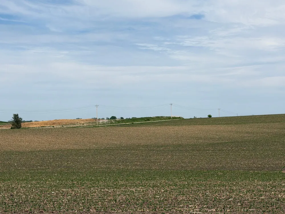 tbd 31st Avenue NW Oronoco, MN 55960