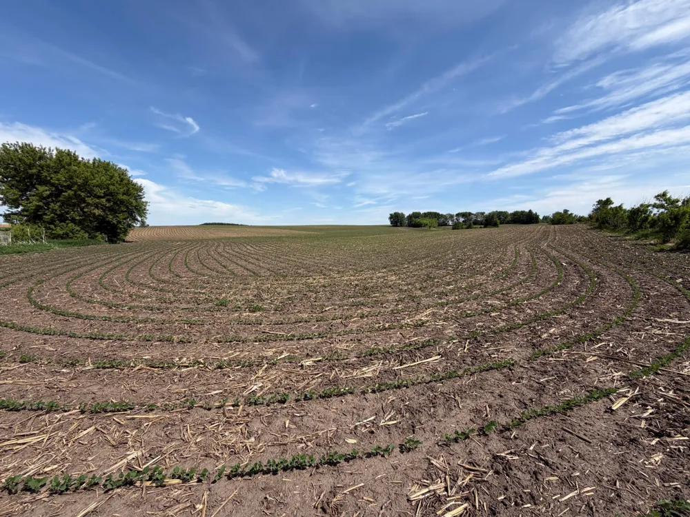 tbd 31st Avenue NW Oronoco, MN 55960