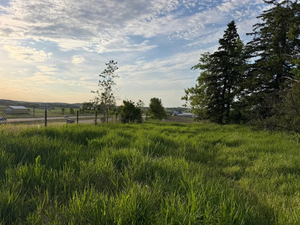 tbd 31st Avenue NW Oronoco, MN 55960