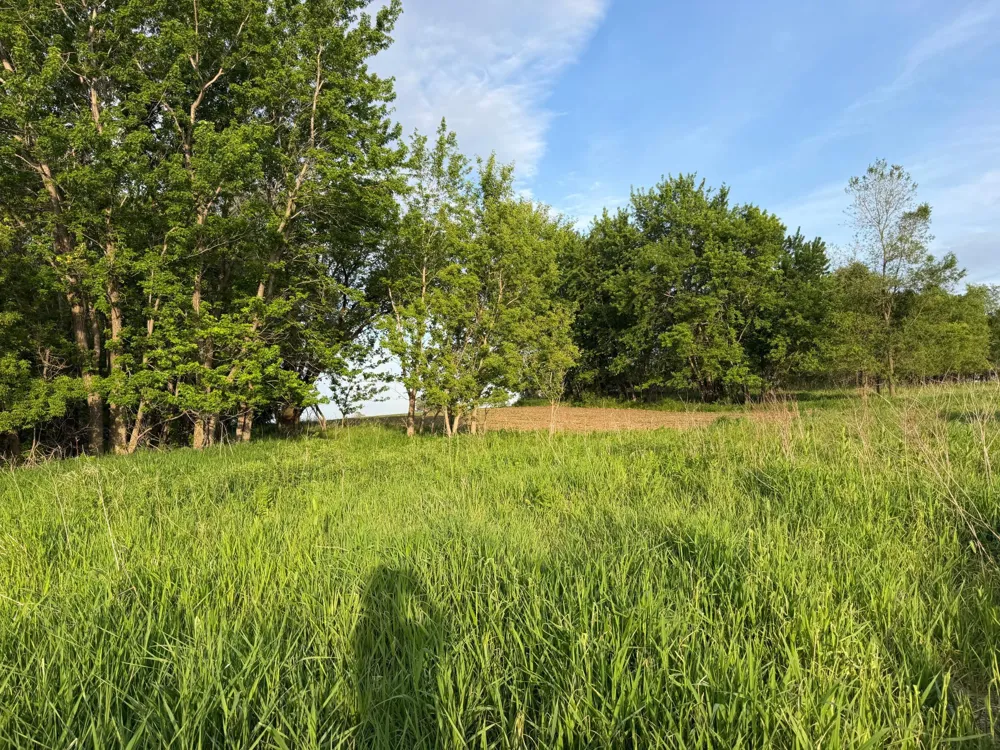 tbd 31st Avenue NW Oronoco, MN 55960