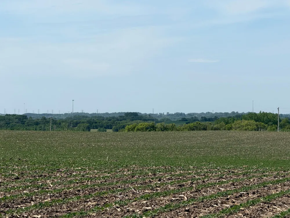 tbd 31st Avenue NW Oronoco, MN 55960