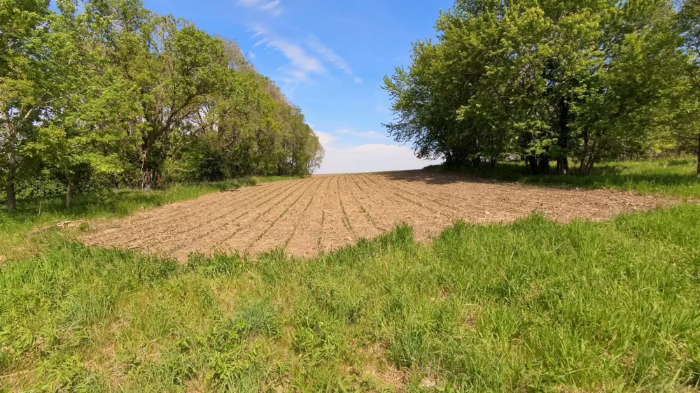 tbd 31st Avenue NW Oronoco, MN 55960