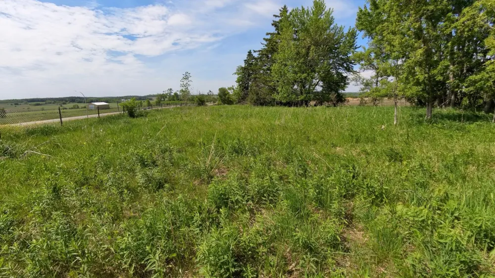 tbd 31st Avenue NW Oronoco, MN 55960