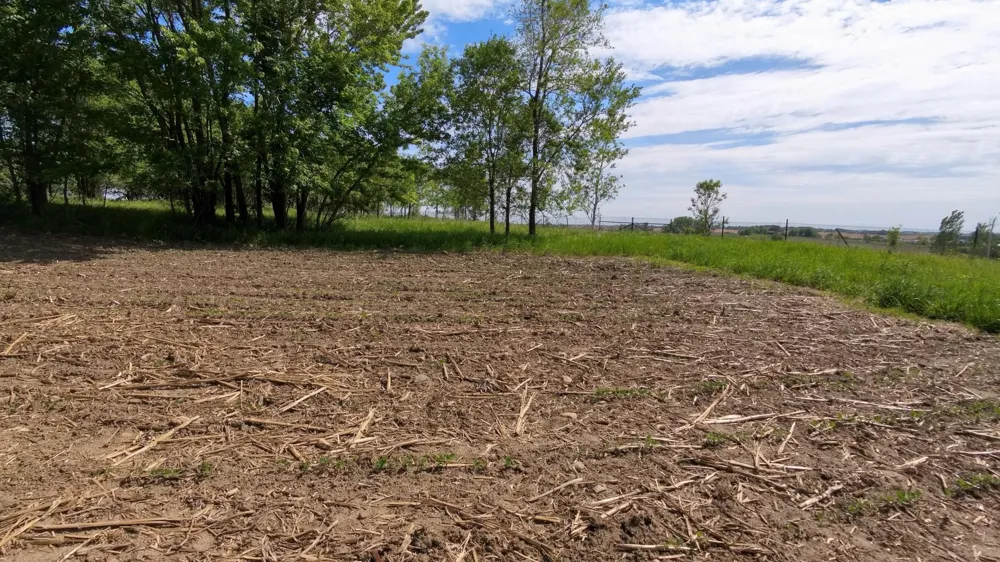tbd 31st Avenue NW Oronoco, MN 55960